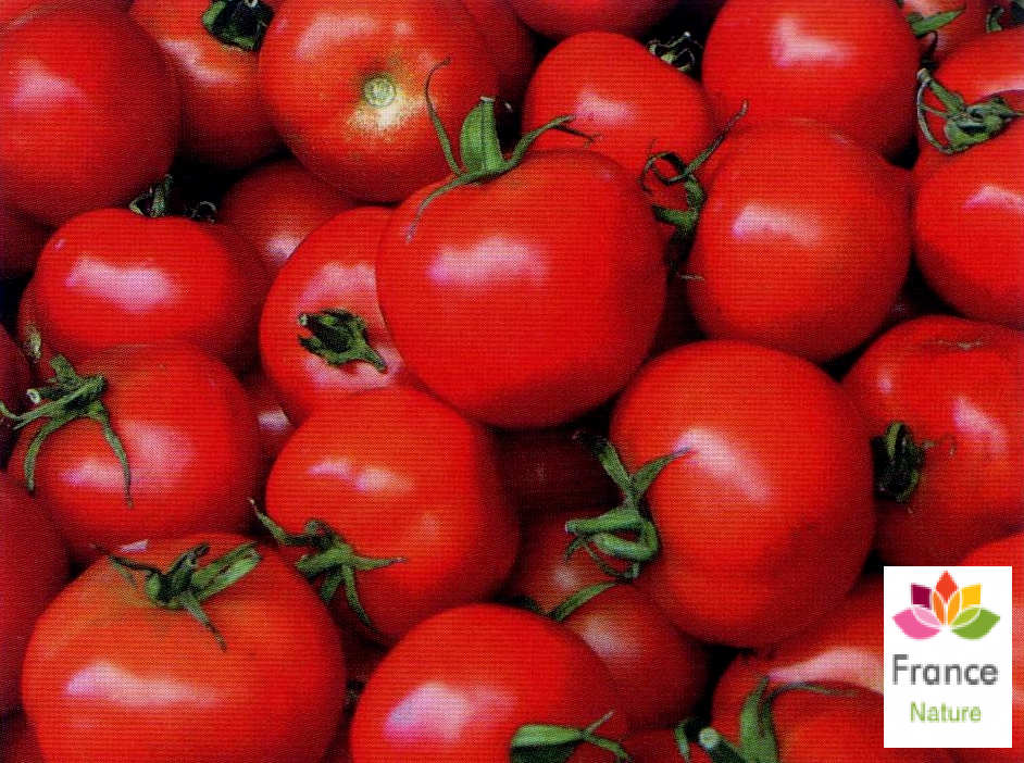 Huile vegetale de tomate france nature 1